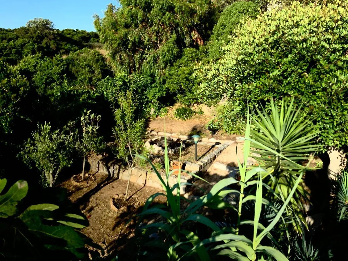 La Loggia Ferienhaus Mit Privat Pool Santa Teresa Gallura Holiday home