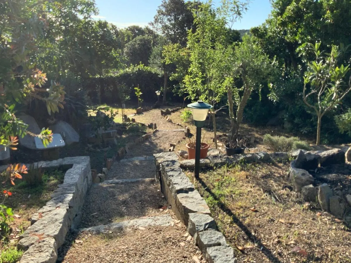 La Loggia Ferienhaus Mit Privat Pool Santa Teresa Gallura