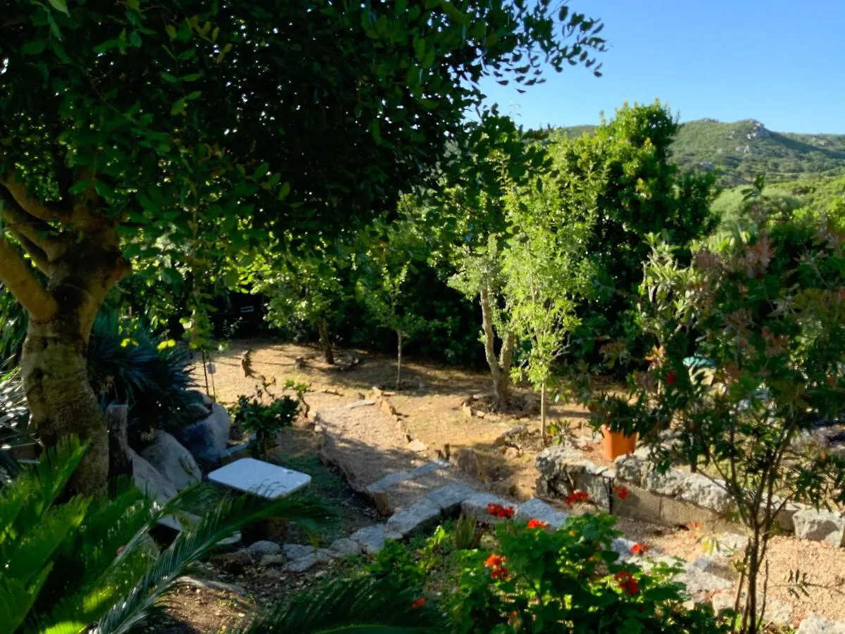 La Loggia Ferienhaus Mit Privat Pool Santa Teresa Gallura