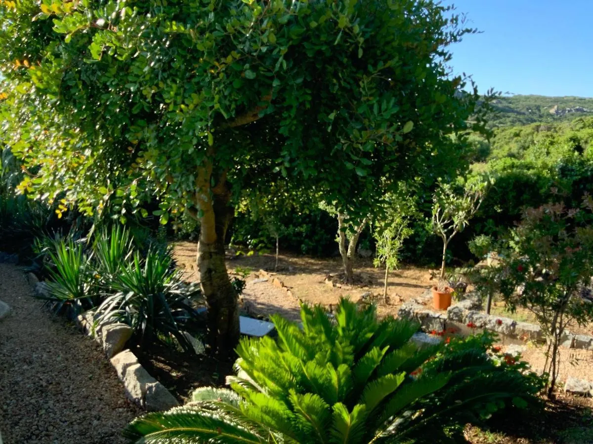 Nyaraló La Loggia Ferienhaus Mit Privat Pool Santa Teresa Gallura Olaszország